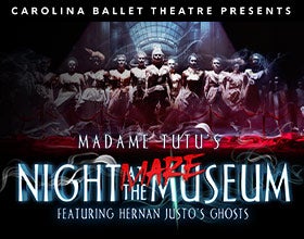 More Info for Nightmare at the Museum