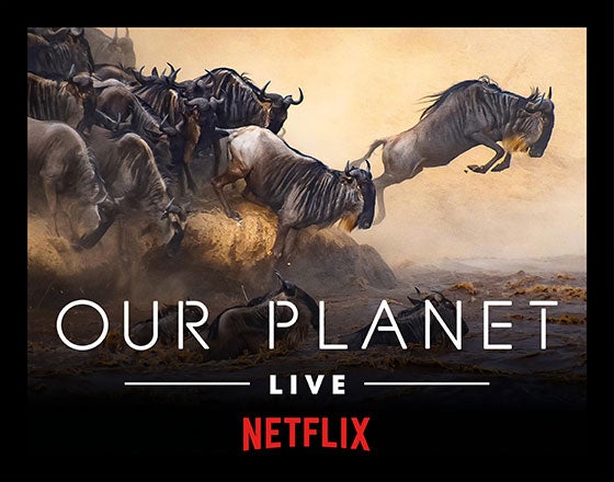 More Info for Our Planet Live: Life on Our Planet